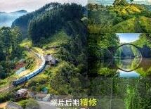 八人抢庄牛牛技巧-八人抢庄牛牛技巧，提升胜率的策略与智慧