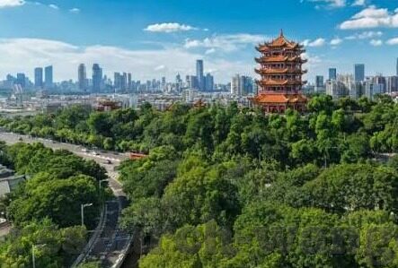 中国关岛足球比分预测-中国队VS关岛队，足球比分预测与赛事前瞻